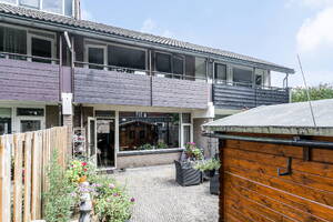 Ligusterbes 4 Leiden